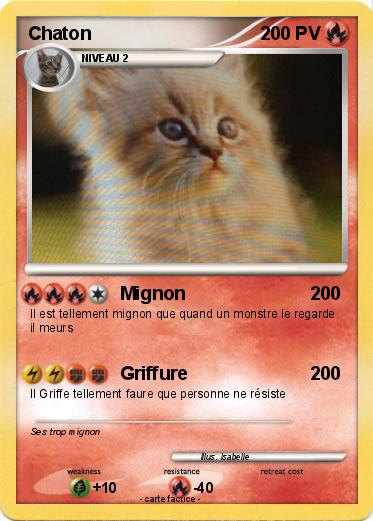 Pokemon Chaton