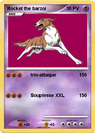 Pokemon Rocket the barzoi