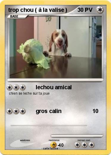 Pokemon trop chou ( à la valise )