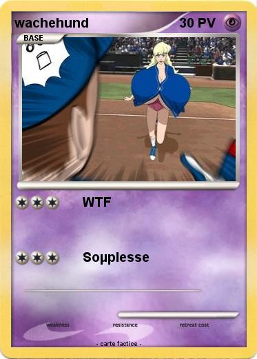 Pokemon wachehund