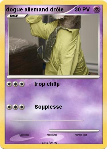 Pokemon dogue allemand drôle