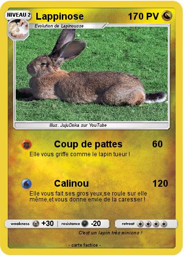 Pokemon Lappinose