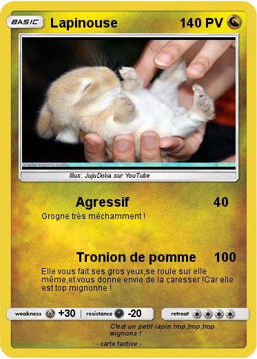 Pokemon Lapinouse