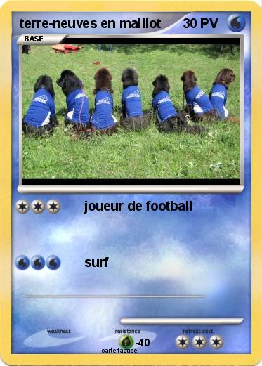 Pokemon terre-neuves en maillot
