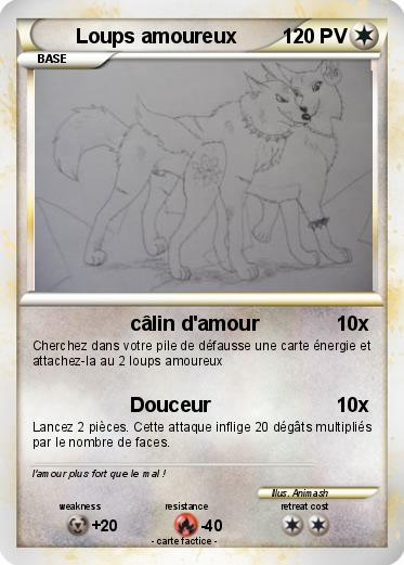Pokemon Loups amoureux