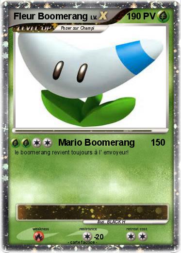 Pokemon Fleur Boomerang