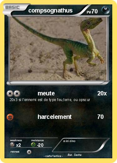 Pokemon compsognathus