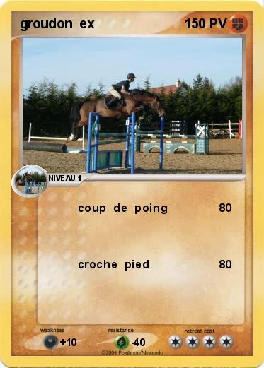 Pokemon groudon  ex
