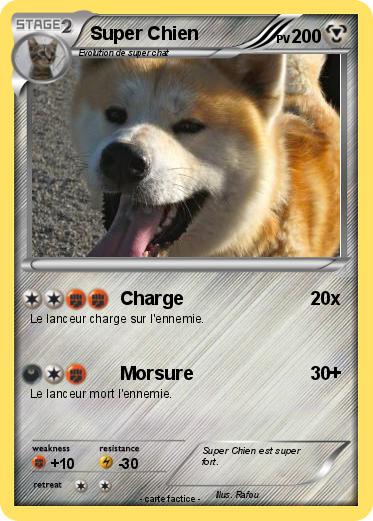 Pokemon Super Chien
