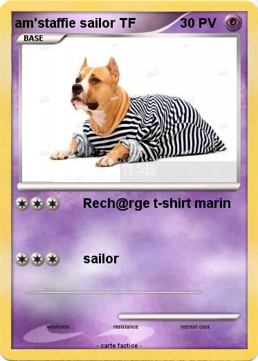 Pokemon am'staffie sailor TF