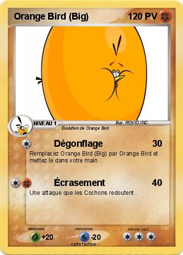 Pokemon Orange Bird (Big)