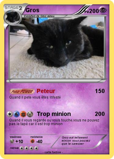 Pokemon Gros