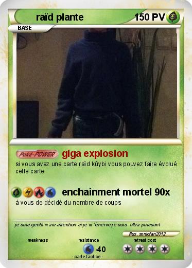 Pokemon raïd plante