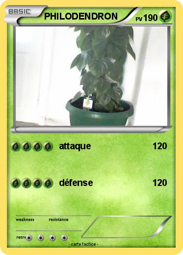 Pokemon PHILODENDRON