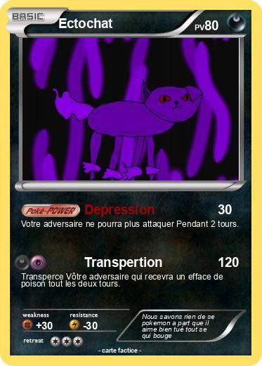 Pokemon Ectochat