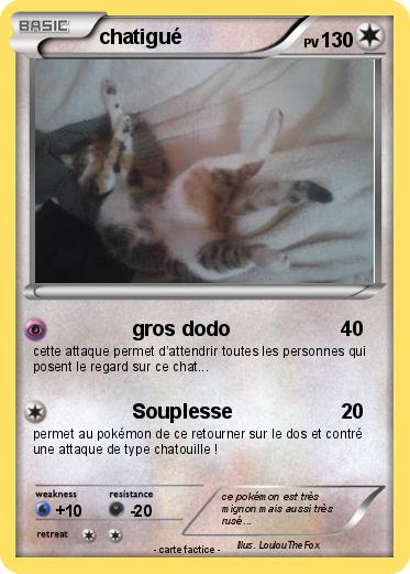 Pokemon chatigué