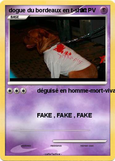 Pokemon dogue du bordeaux en t-shirt