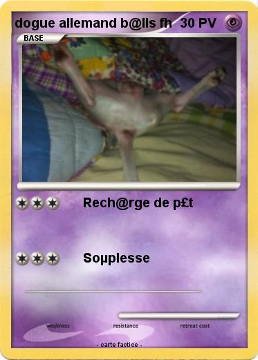 Pokemon dogue allemand b@lls fh