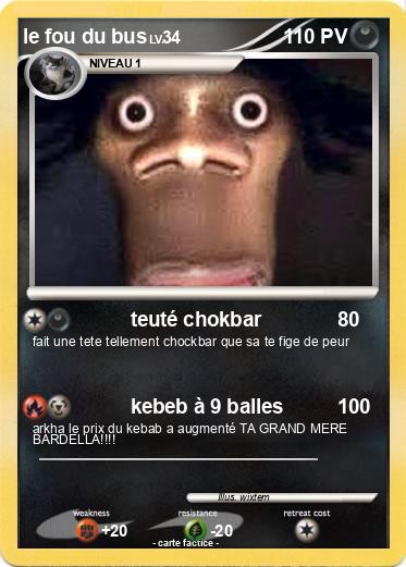 Pokemon le fou du bus