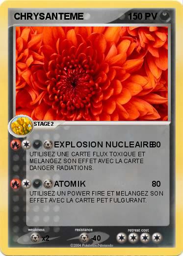 Pokemon CHRYSANTEME