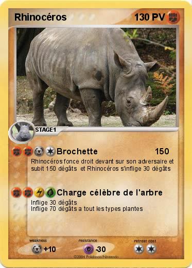 Pokemon Rhinocéros 