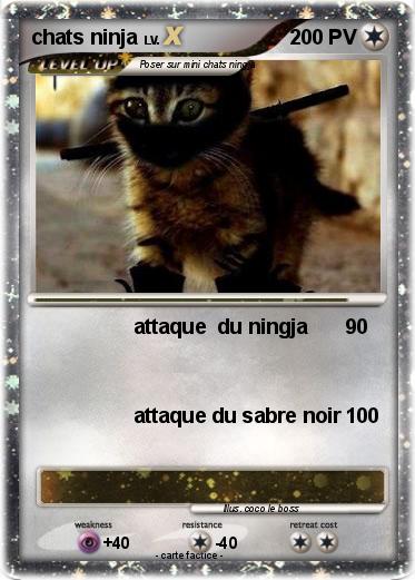 Pokemon chats ninja
