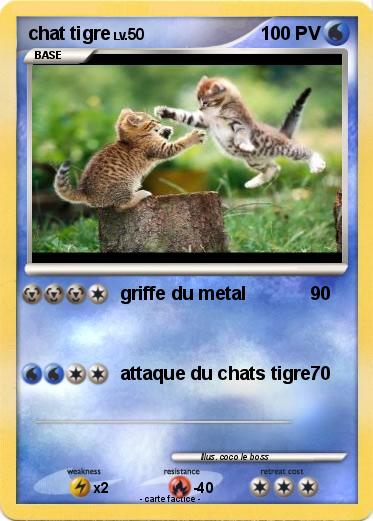 Pokemon chat tigre