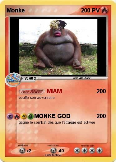 Pokemon Monke