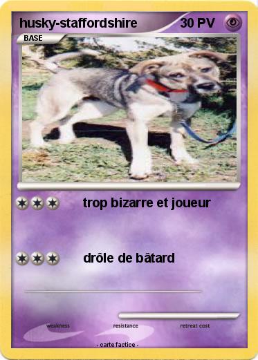 Pokemon husky-staffordshire