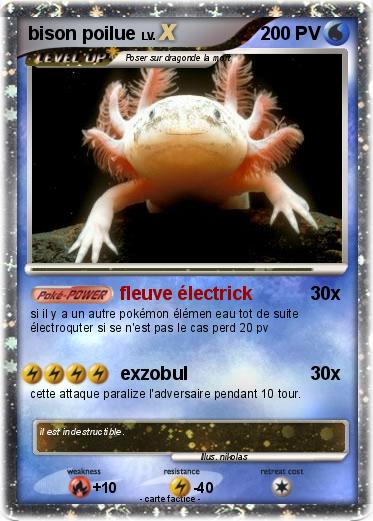 Pokemon bison poilue