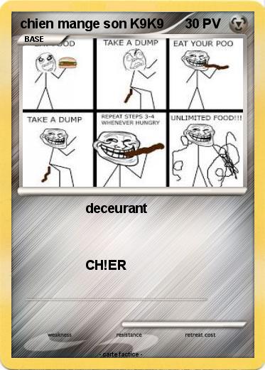 Pokemon chien mange son K9K9