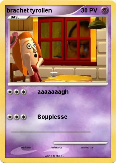 Pokemon brachet tyrolien