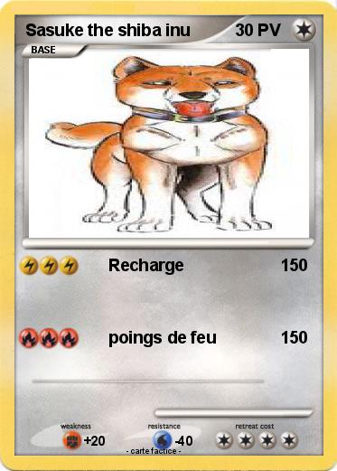 Pokemon Sasuke the shiba inu