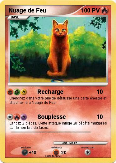 Pokemon Nuage de Feu