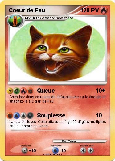 Pokemon Coeur de Feu