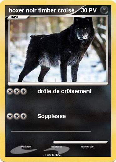 Pokemon boxer noir timber croisé