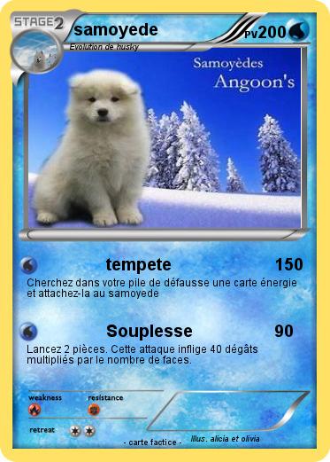 Pokemon samoyede