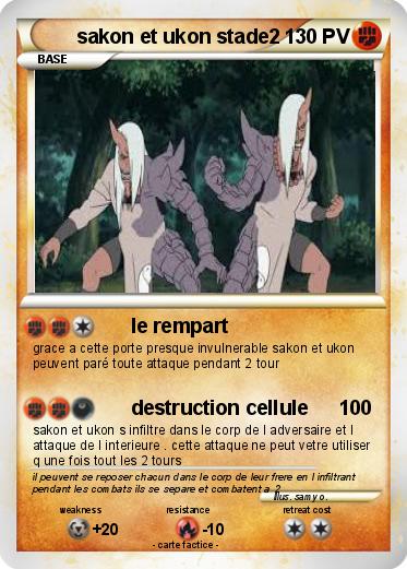 Pokemon sakon et ukon stade2