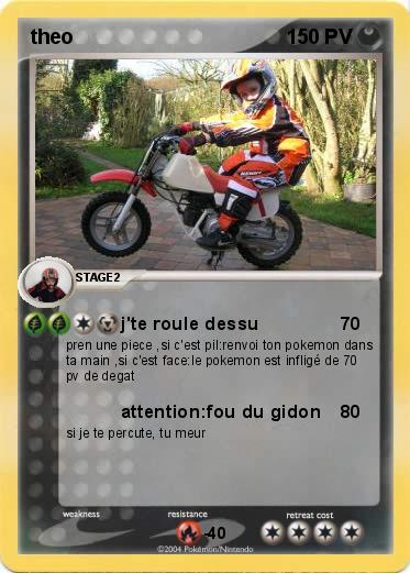 Pokemon theo