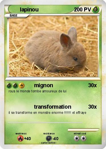 Pokemon lapinou