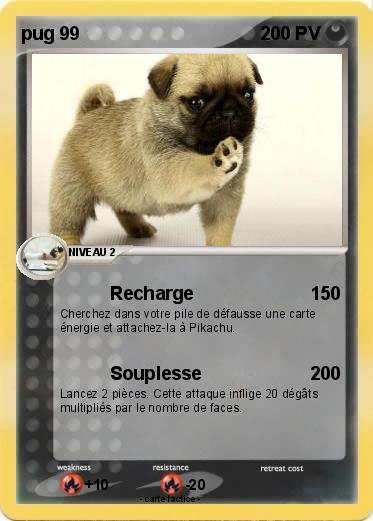 Pokemon pug 99