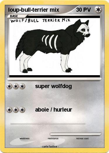 Pokemon loup-bull-terrier mix