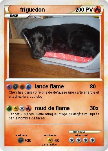 Pokemon friguedon