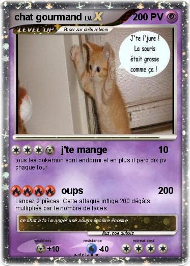 Pokemon chat gourmand