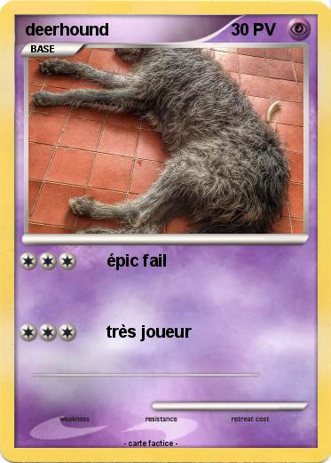 Pokemon deerhound