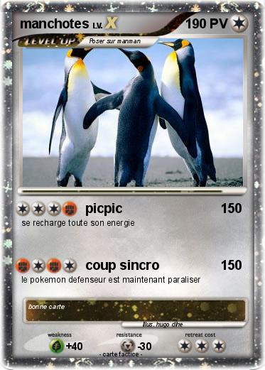 Pokemon manchotes