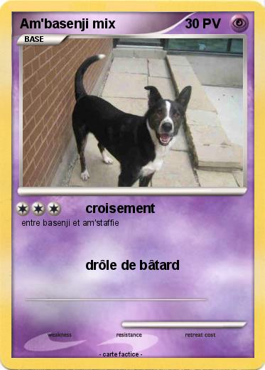 Pokemon Am'basenji mix