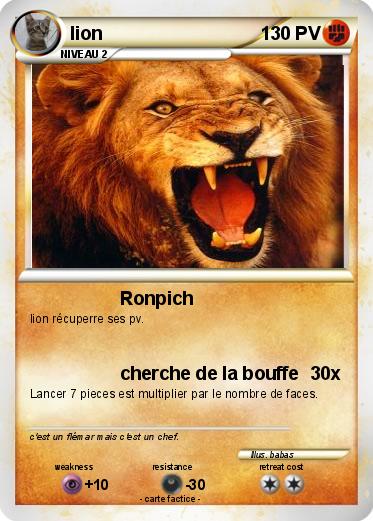 Pokemon lion