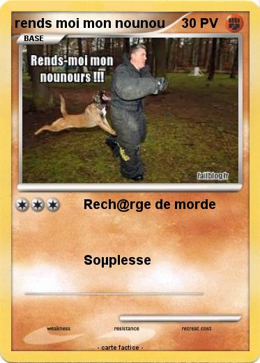 Pokemon rends moi mon nounou