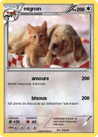 Pokemon mignon
